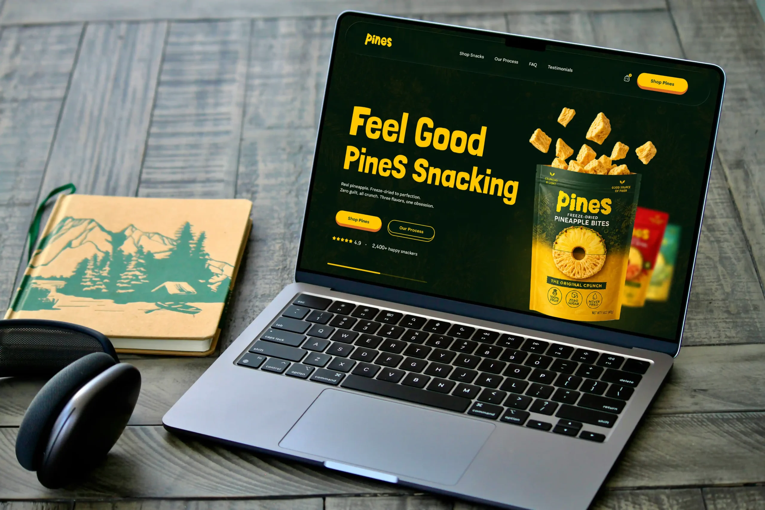 Izrada Web sajtova - Pines